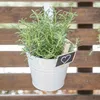 Siena Garden Blumentopf 2er Set, weiß, Ø 16 x 14,5 cm Produktbild-Vorschau 2