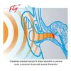 SANOHRA fly contre les maux d'oreilles en avion Protection Voir les images du produit 15