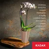 KADAX kvetináč "Cerda", kvetináč na orchideu, orchidea, Náhľad obrázku produktu 6