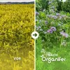 Mieszanka roślin na zielone nawożenie – 10 odmian – nasiona Podgląd zdjęcia produktu 2