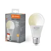 A product shot of a smart LED light bulb and its packaging. Produktbild-Vorschau