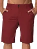 Stanley Jeans Herren Chino Shorts in Bordo W29 1/2 - 86 cm Produktbild-Vorschau 1