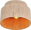 Stropní svítidlo TRIO-Leuchten SMILLA DH 30x22 cm zelené Náhled obrázku produktu 1