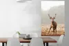 MuchoWow® Poster Hirsche - Wald - Nebel 80x120 cm - Produktbild-Vorschau 2