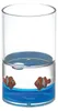 Gedy PYXIS Glas zum Stellen, Nemo Produktbild-Vorschau 1