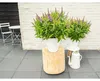 Buddleja dav. Butterfly Candy Little Lila 25-30 cm Produktbild-Vorschau 2
