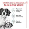 ROYAL CANIN Medium Starter Mother&Babydog 4kg Karma Sucha Podgląd zdjęcia produktu 3