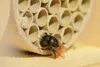 dobar Profi-Insektenhotel für Wildbienen, massive Nisthilfe Produktbild-Vorschau 8