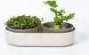 Plastia MICROGREENS + miska na klíčenie Regrow - slonová Náhľad obrázku produktu 25