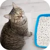 A tabby cat is looking up at the camera next to a blue litter box filled with litter. Produktbild-Vorschau
