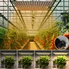 Pflanzenlampe LED Vollspektrum Flowerpot Lampe Dimmbar Produktbild-Vorschau 1