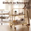 carrello da portata a 2 livelli in acciaio inox 68×40×80 cm Anteprima dell’immagine prodotto 7