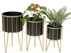 Three black plant stands with gold legs and accents, holding plants. Podgląd zdjęcia produktu