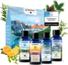 Veddelholzer  Saunaaufguss Geschenkset 4 x 100 ml Produktbild-Vorschau 1