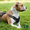 HUNTER Hundegeschirr NEOPREN, schwarz/grau, Produktbild-Vorschau 10