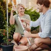 TOMATO BUDDY Tomatenrankhilfe 3er Set | Rankhilfen von Produktbild-Vorschau 4