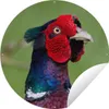 MuchoWow® Produktbild-Vorschau 1