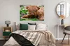 MuchoWow® Poster Schottischer Highlander - Heu - Gras Produktbild-Vorschau 4