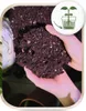 Blumenerde Premium - 10L - für Zimmerpflanzen - Hochwertige Produktbild-Vorschau 5