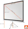 celexon basic Stativ-Leinwand 110" | 200x200 cm 1:1 | Produktbild-Vorschau 2