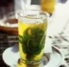 SAFLAX - Kräuter - Mexikanische Nana Minze - 500 Samen - Produktbild-Vorschau 6