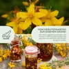 Johanniskraut Samen - Heilkräuter Saatgut aus biologischem Produktbild-Vorschau 3
