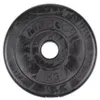 Peso del disco in cemento Merco Dumbbell 5 kg Anteprima dell’immagine prodotto 1