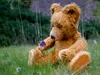 Calvendo Ein Blümchen 1000 Teile Puzzle quer 640x480mm, Produktbild-Vorschau 2