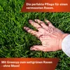Greenyp Anti Moos Rasendünger I 2in1 Rasen- & Eisendünger Produktbild-Vorschau 6
