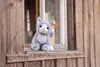 Steiff Cassie gatto 26 blu ghiaccio/bianco 067051 Anteprima dell’immagine prodotto 6