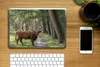MuchoWow® Laptop Aufkleber Sticker Cover Schottischer Produktbild-Vorschau 2