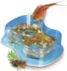 Galileo Original Triops Starter-Set Anteprima dell’immagine prodotto 5