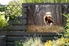 MuchoWow® Produktbild-Vorschau 5
