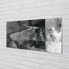 Glasbilder 120x60 Wandkunst Sky schwarz und weiß Menschen Produktbild-Vorschau 2
