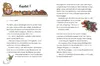 Honiggold - Das Rätsel der Bäckerei Produktbild-Vorschau 10