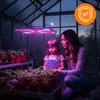 LED Pflanzenlampe 1000W Vollspektrum Panel, 225 LEDs Grow Produktbild-Vorschau 6