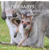 Alpha Edition - Tierbabys Kalender 2026 - Wandkalender Produktbild-Vorschau 1