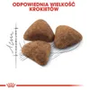 Royal Canin Feline Indoor - 4 kg Voir les images du produit 9