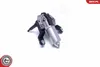 ESEN SKV 19SKV128 Wischermotor Hinten für OPEL ZAFIRA B Produktbild-Vorschau 3