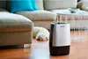 A humidifier is placed on a wooden floor next to a sofa and a dog. Produktbild-Vorschau