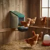 Agrarzone Legenester für Hühner 1 Abteil Produktbild-Vorschau 2