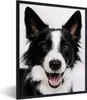 MuchoWow® MuchoWow® Gerahmtes Poster Border Collie schaut Produktbild-Vorschau 1