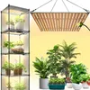 150W Pflanzenlampe Led Vollspektrum, 432Leds Panel Grow Produktbild-Vorschau 2