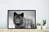 MuchoWow® MuchoWow® Gerahmtes Poster Wolf - Nahaufnahme - Produktbild-Vorschau 4