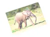 3 D Ansichtskarte Elefanten Baby, Afrika Postkarte Produktbild-Vorschau 1