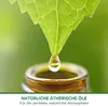 AIRWICK 3236565 AIRWICK Duftspender Freshmatic Max blumig Anteprima dell’immagine prodotto 7