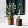 Two potted plants, a bushy green plant and a cactus, are placed on a white surface in front of a window with dark shutters. Produktbild-Vorschau