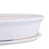 A close-up view of a white ceramic bonsai pot and saucer on a white background. Produktbild-Vorschau