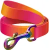Laisse pour chien en nylon dégradé, Waudog, L 15Mm, L Voir les images du produit 1