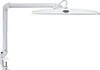 MAUL lampada da tavolo MAULwork LED 6.500 K dimmerabile Anteprima dell’immagine prodotto 1